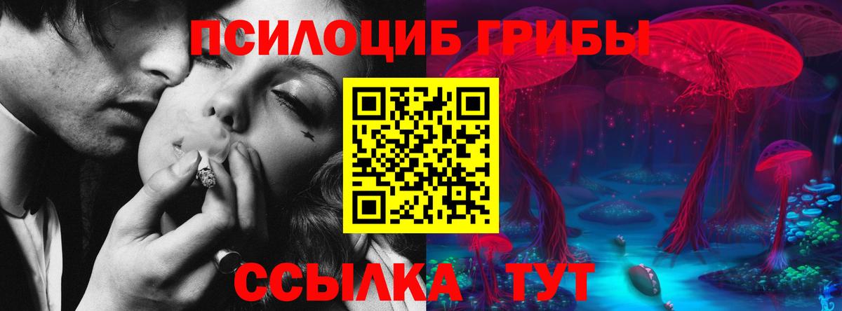 Галлюциногенные грибы Psilocybe Глазов